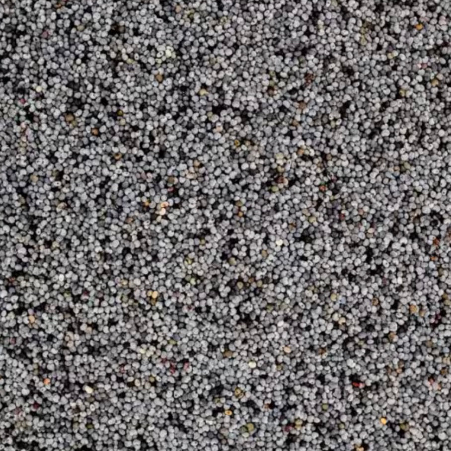 blaumohn von unverpackt und lose