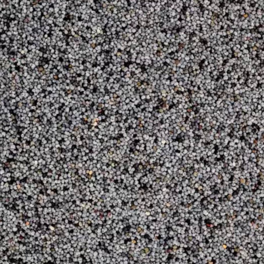 Blaumohn Bio - unverpackt & lose