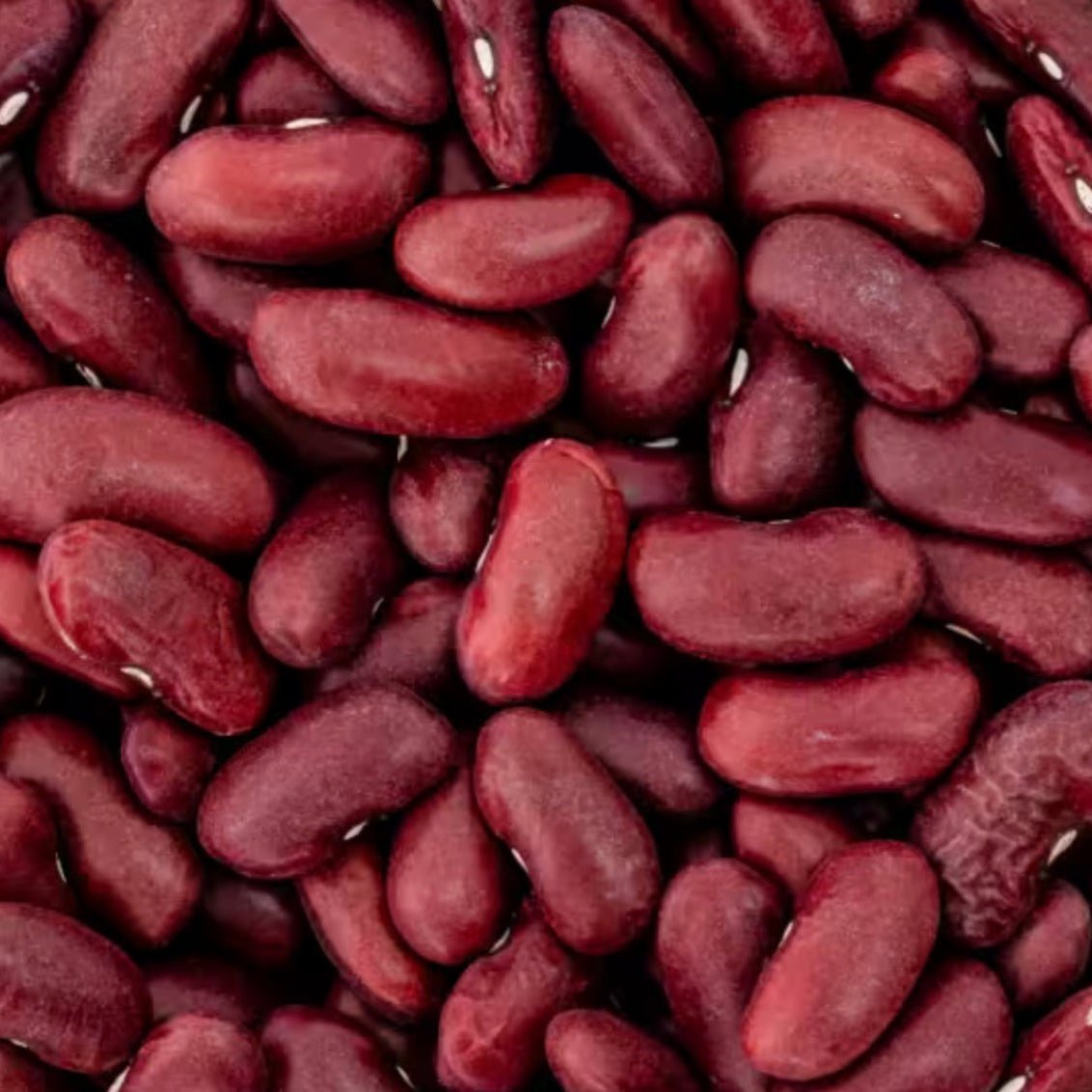 Kidneybohnen rot Bio - unverpackt & lose