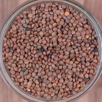 Berglinsen Bio - unverpackt & lose