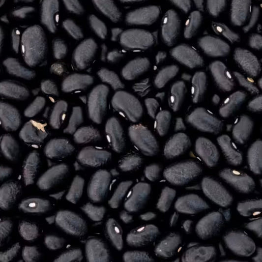Getrocknete Bio-Schwarze Bohnen (Black Turtle) aus Argentinien – nussiger Geschmack, reich an Eiweiß und Ballaststoffen. Ideal für mexikanische und vegane Gerichte.