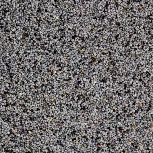 Blaumohn Bio - unverpackt & lose