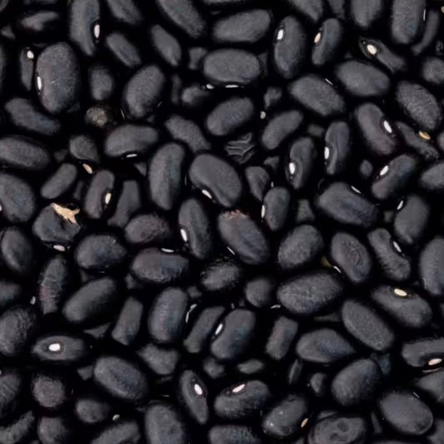 Bohnen schwarz Bio - unverpackt & lose
